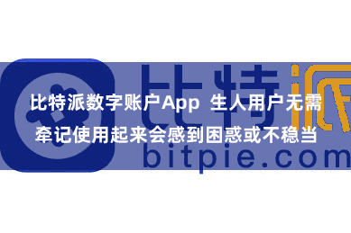 比特派数字账户App  生人用户无需牵记使用起来会感到困惑或不稳当