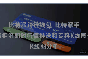 比特派跨链钱包  比特派手机版相沿即时行情推送和专科K线图分析
